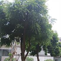 TANISHK PORWAL