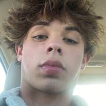 Landen
