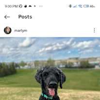 Marly