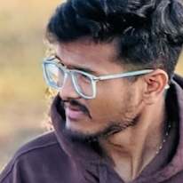 Satya Praneeth Mallipam