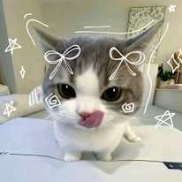 Yasaswini
