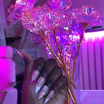 Princess