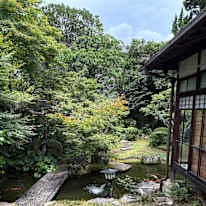 kanoko