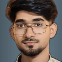 Adil Ansaree