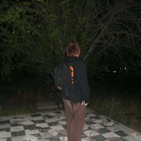 Alex