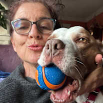 Noreen Greenblatt