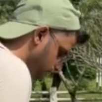 Dan
