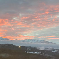 Nitiksha Mahendrakumar Parmar