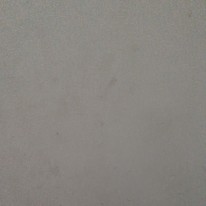 Shivani