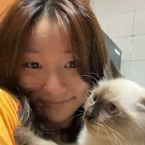 Han Xi