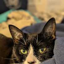 Caitlyn