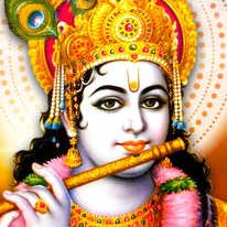 Dev