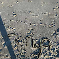 Tanya