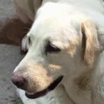 Prashant