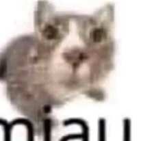 Mehsan