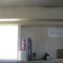 Miss Renee K. Taylor--Wants to study--Does Manual Skills--Has a University Degree--Likes Art and Science--Wants to help resolve an unconfirmed Crime