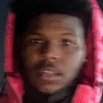 Cobi