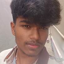 Saran