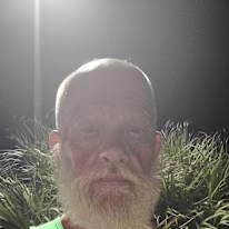 Timothy A Weesner