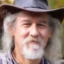 Robert J Young