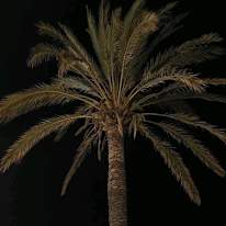Sai Ameeth